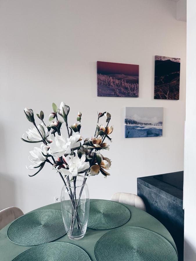 Loft Przy Placu Niepodleglosci Daire Jelenia Gora Dış mekan fotoğraf